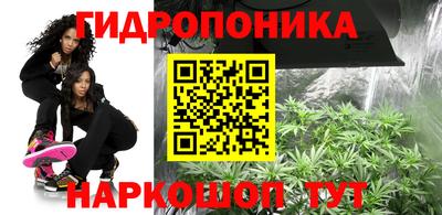 СК Ирбит