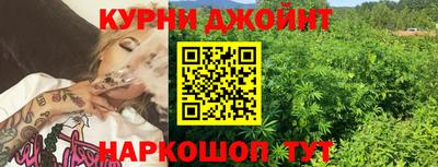 гашик Изобильный