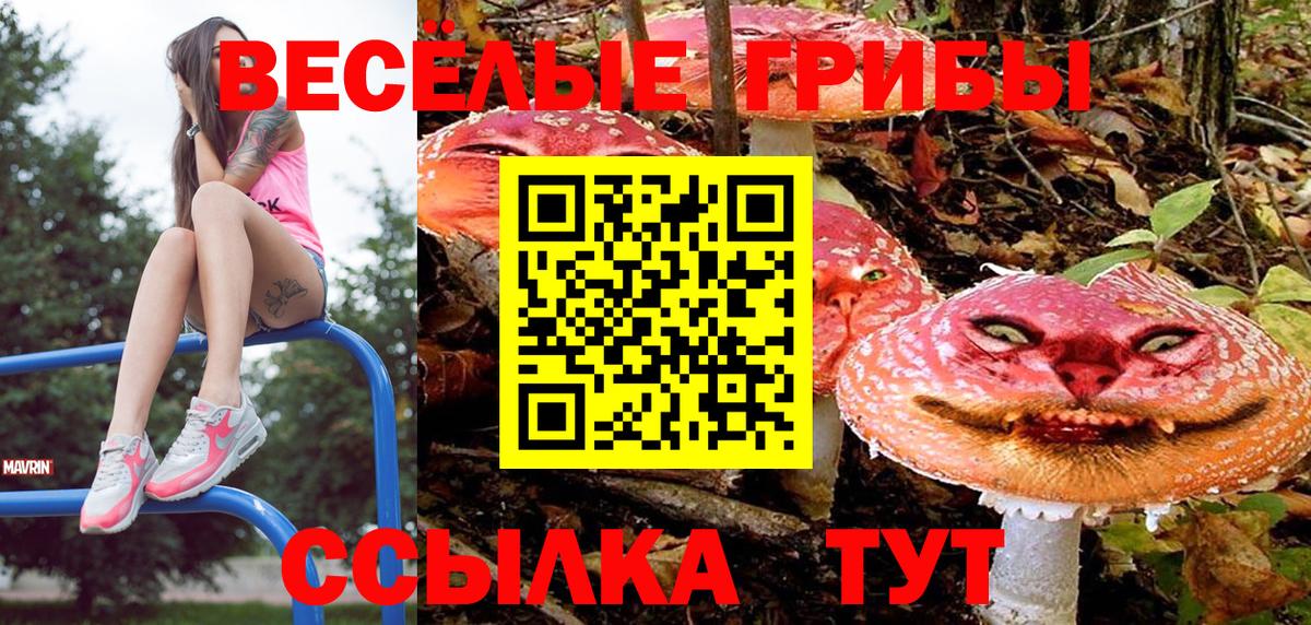 Псилоцибиновые грибы прущие грибы Кыштым